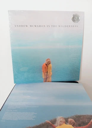 Andrew McMahon In the Wilderness Lp Vinile