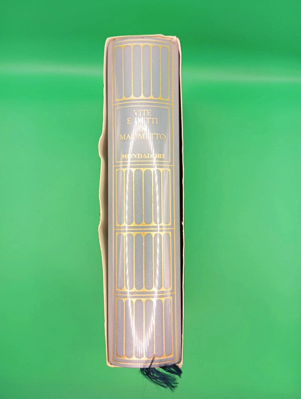 Vite e Detti di Maometto - I Meridiani