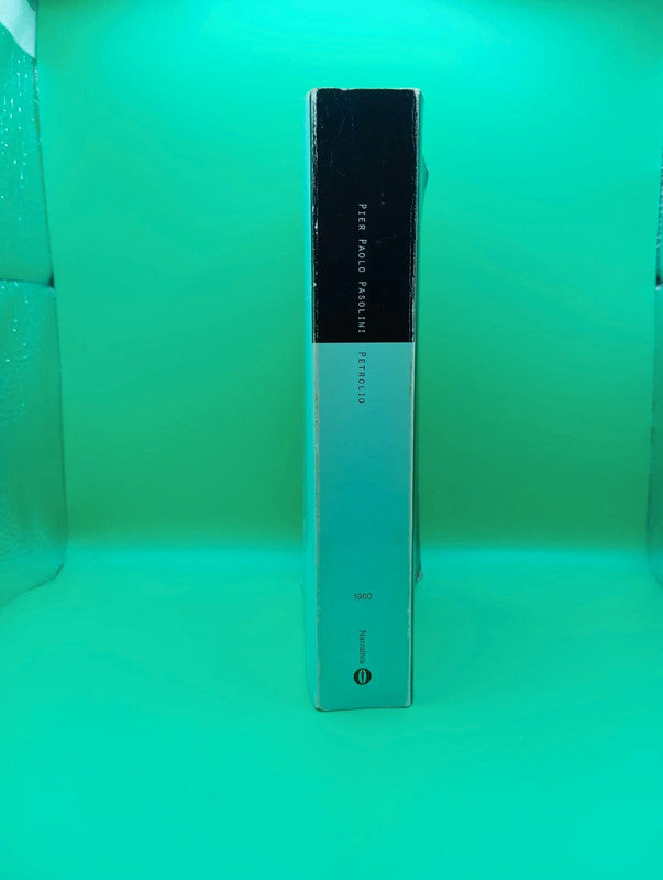 Pier Paolo Pasolini - Petrolio