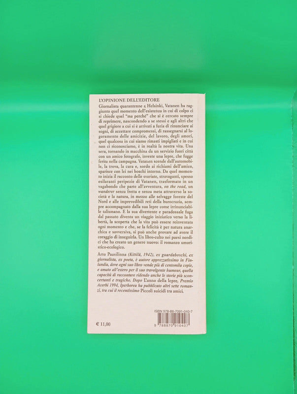 Arto Paasilinna - L'anno della lepre