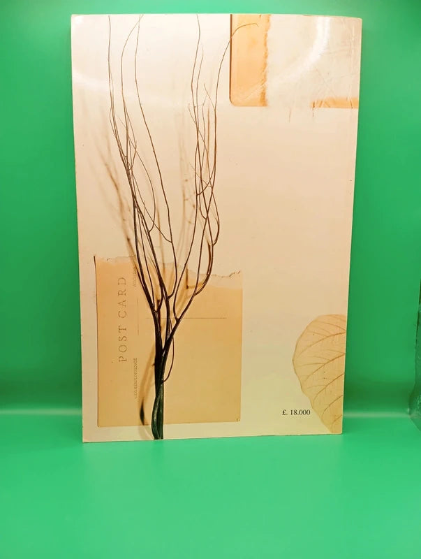 Neil Gaiman - Black Orchid