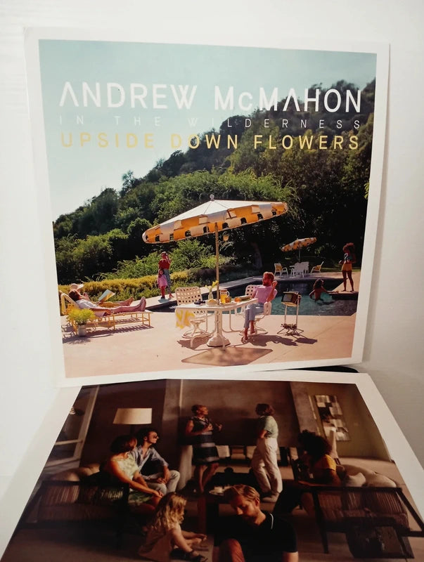 Andrew McMahon in the wilderness - Upside down flowers Lp Vinile