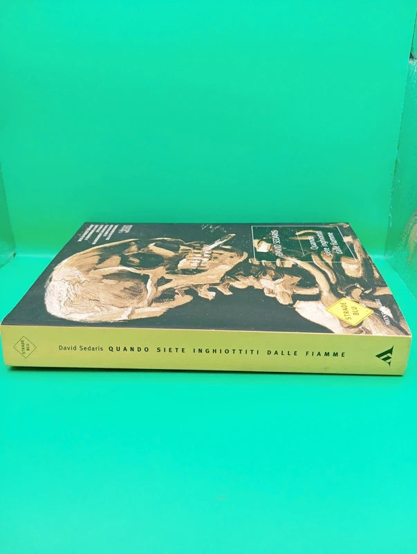 David Sedaris - Quando siete inghiottiti dalle fiamme