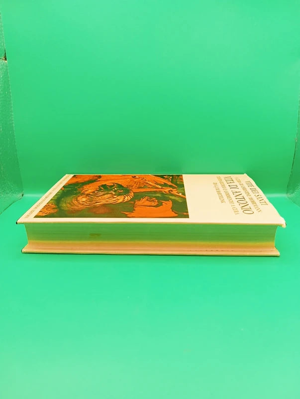 Vita di Antonio - da Vite dei Santi - Fondazione Lorenzo Valla Mondadori