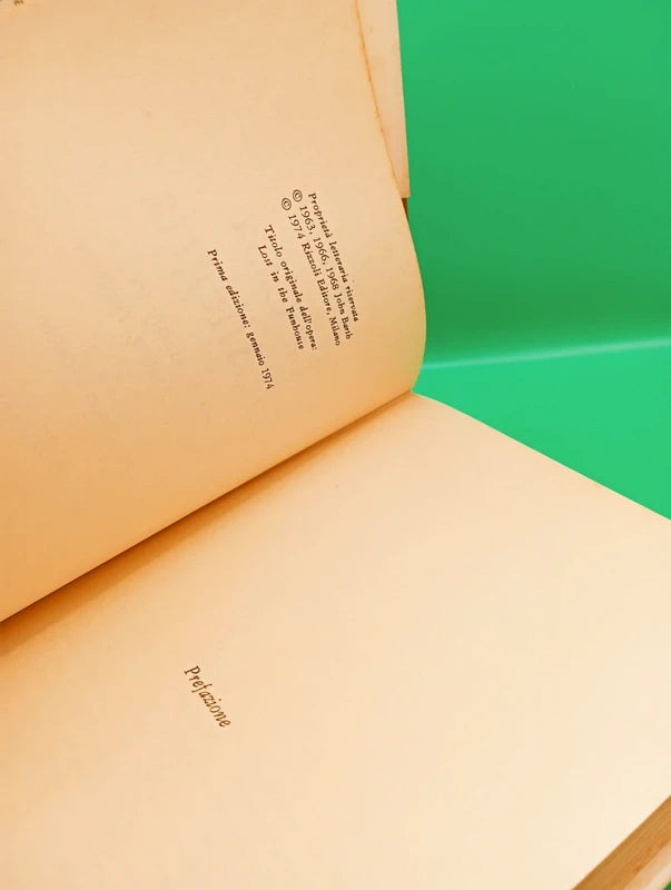 John Barth - La Casa dell'Allegria Prima edizione Rizzoli