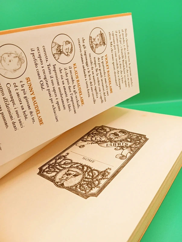 Lemony snicket - Una serie di sfortunati eventi 5 - L'atroce accademia