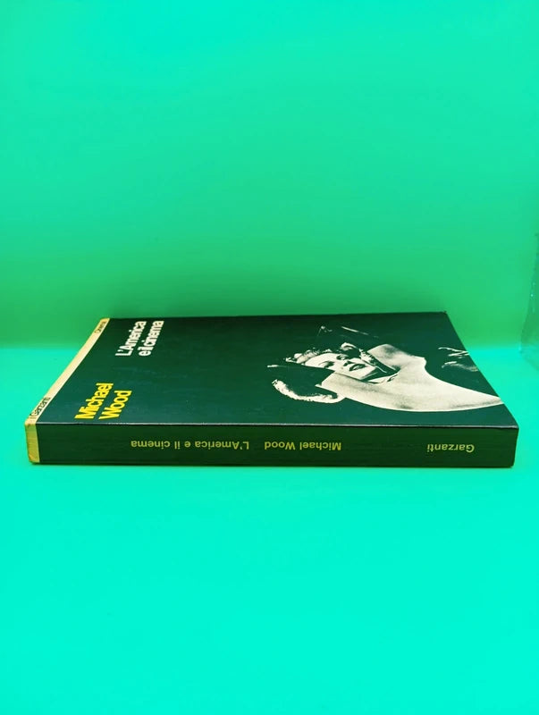 Michael Wood - L'america e il cinema