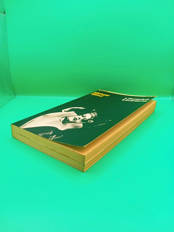 Michael Wood - L'america e il cinema