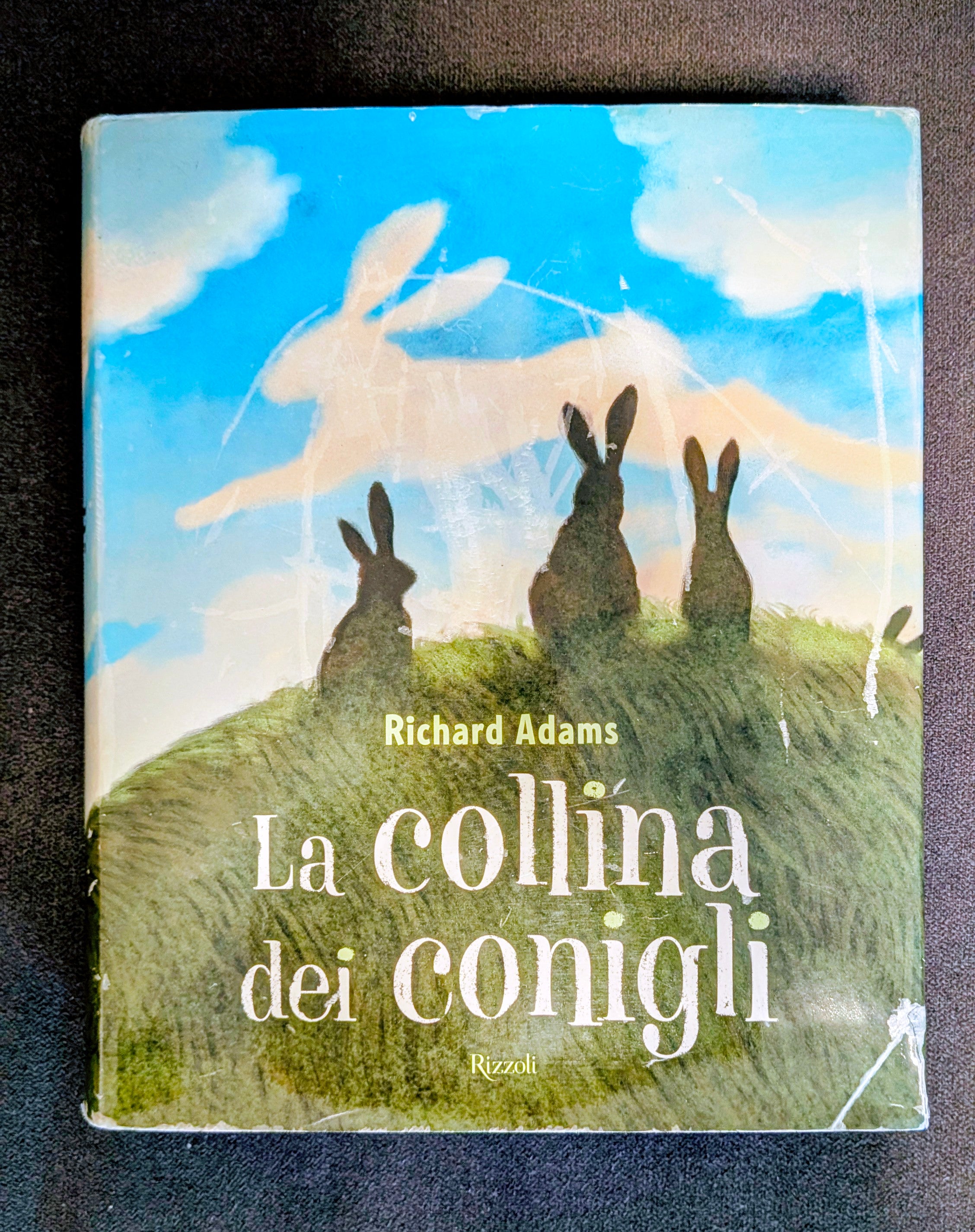 La collina dei conigli Edizione Illustrata Rizzoli 2008