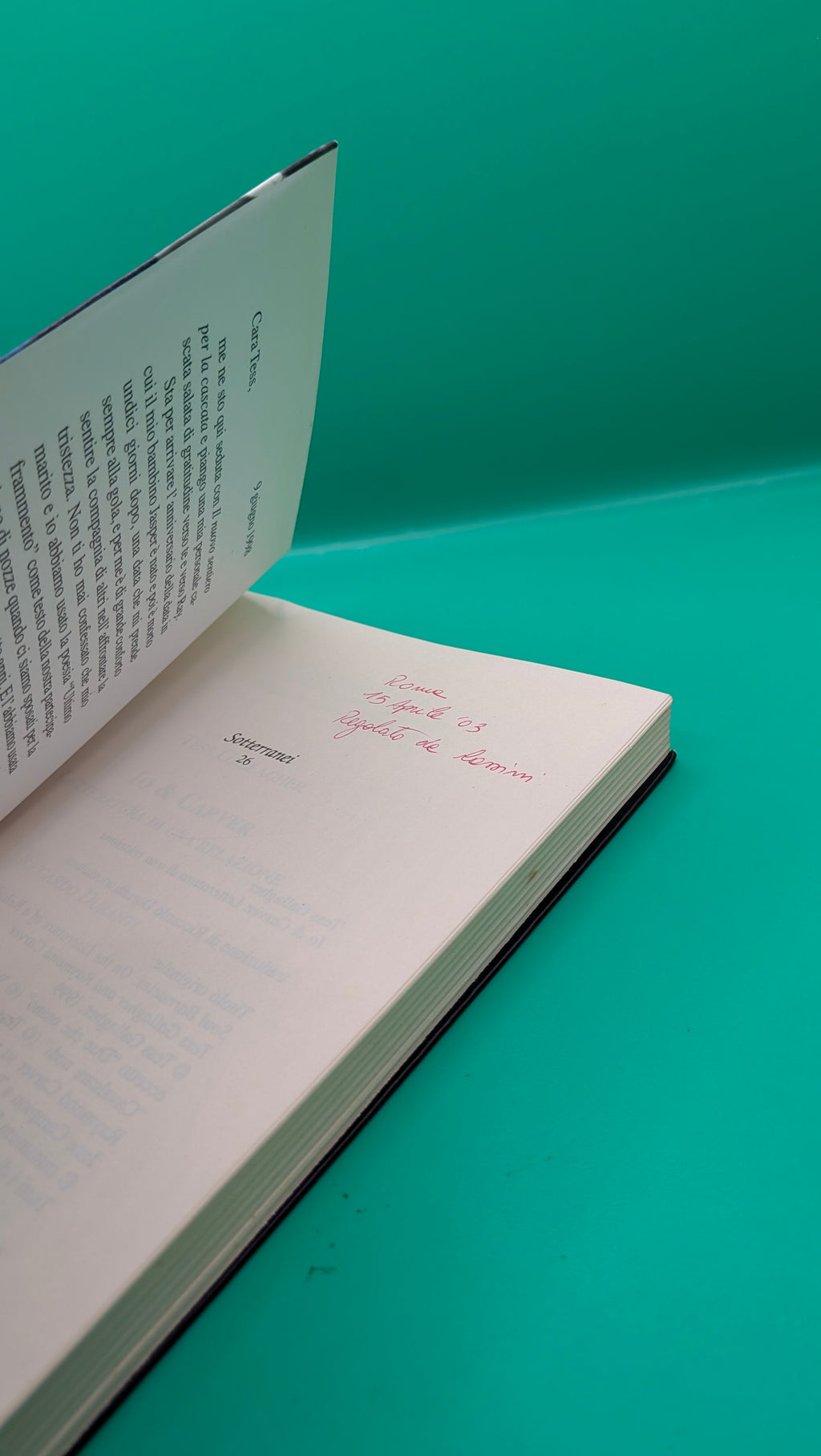 Tess Gallagher - Io e Carver Letteratura di una relazione Minimum Fax
