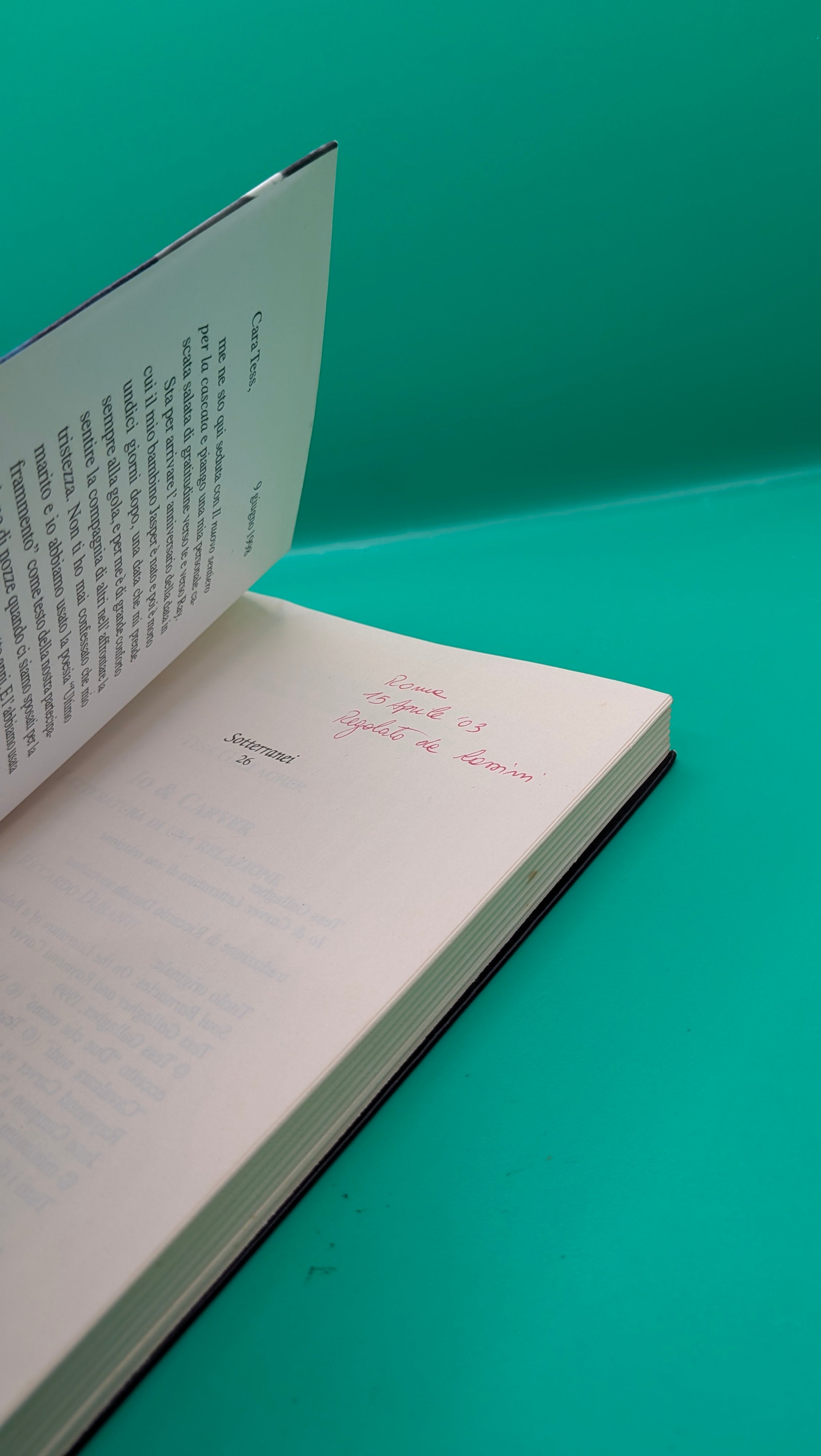 Tess Gallagher - Io e Carver Letteratura di una relazione Minimum Fax