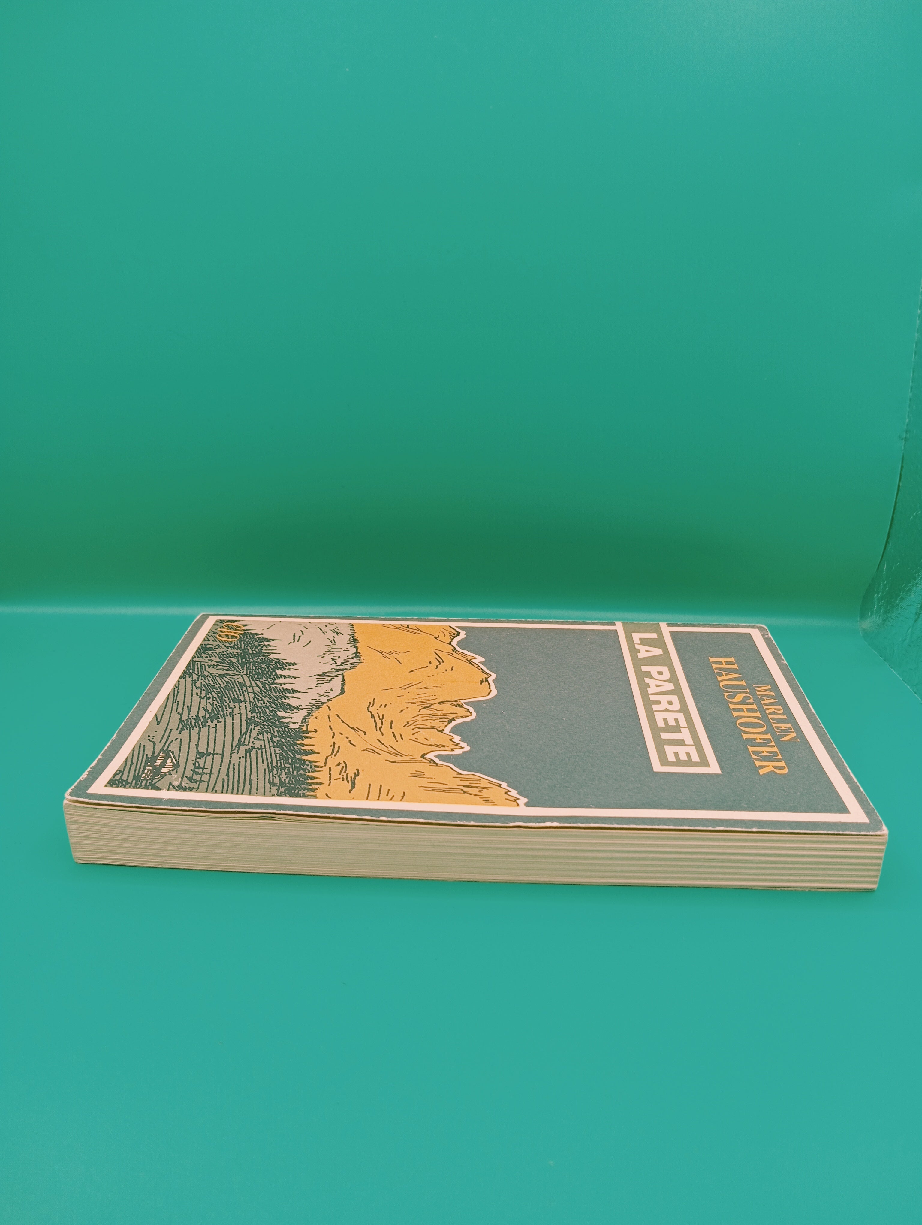 Marlen Haushoffer - La Parete