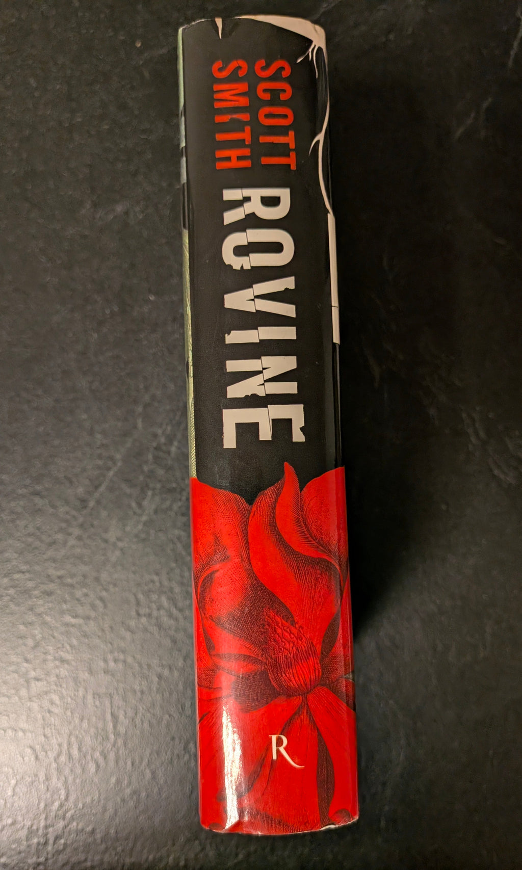 Scott Smith - Rovine
