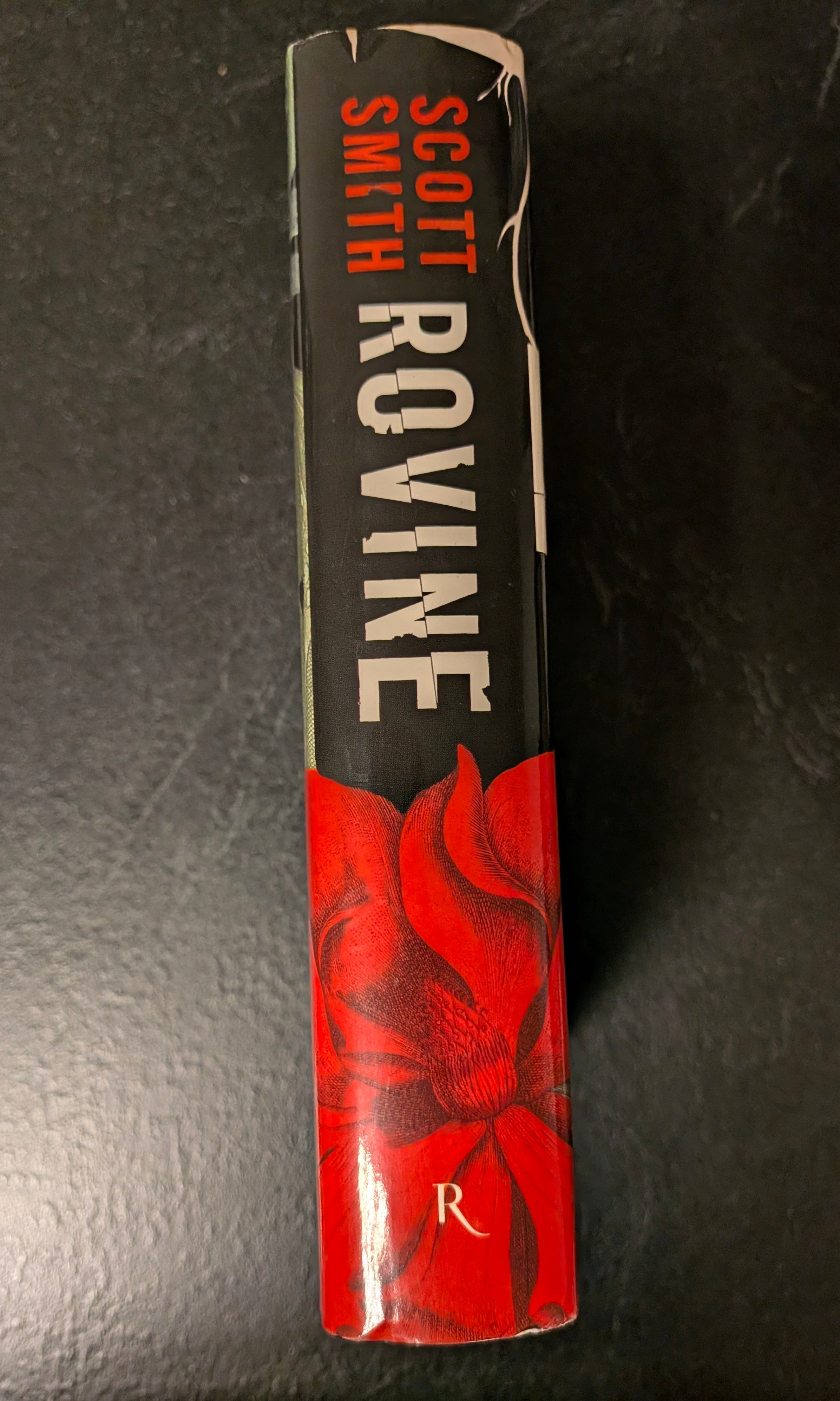 Scott Smith - Rovine