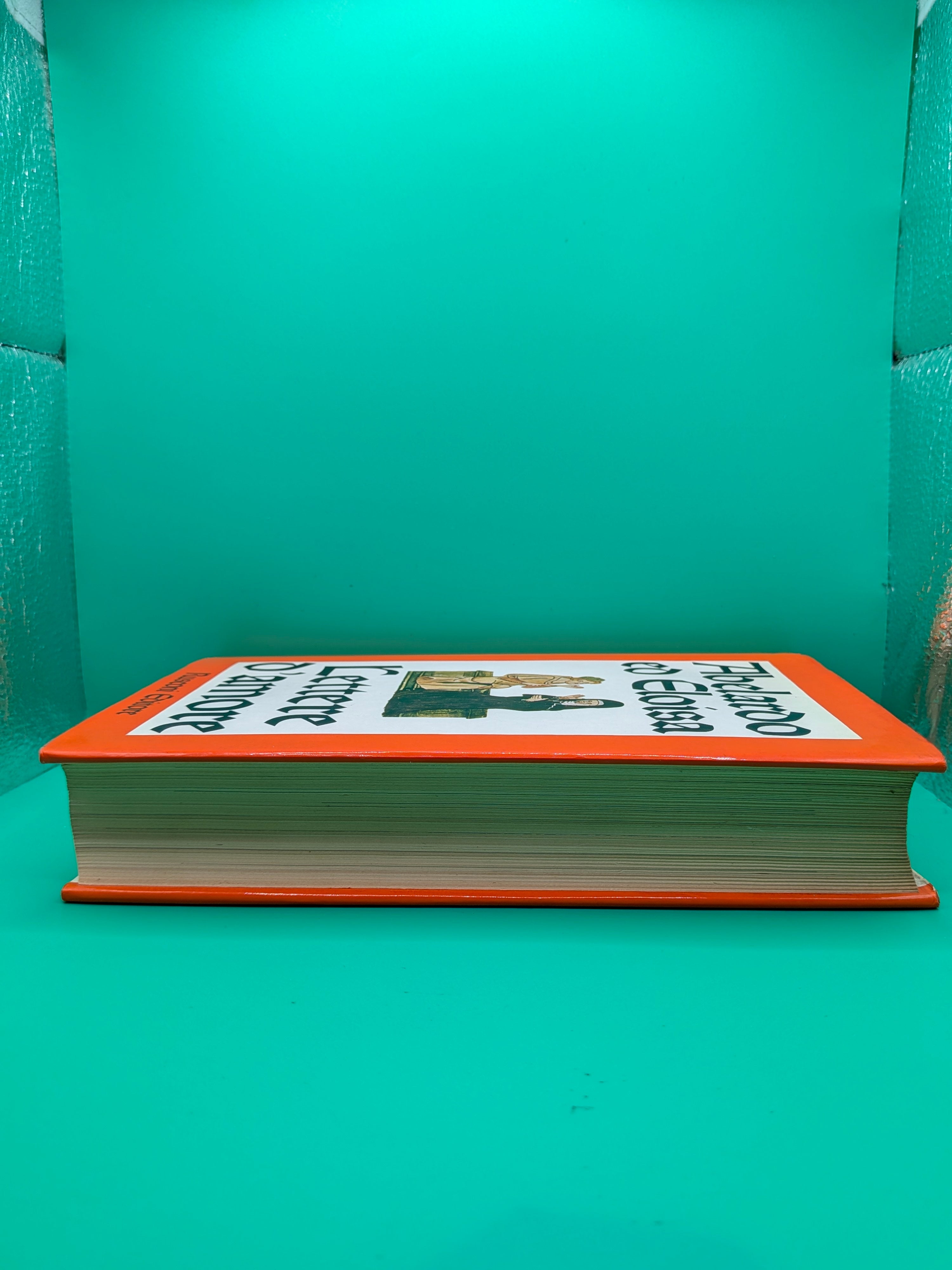 Abelardo ed Eloisa - Lettere d'Amore Rusconi