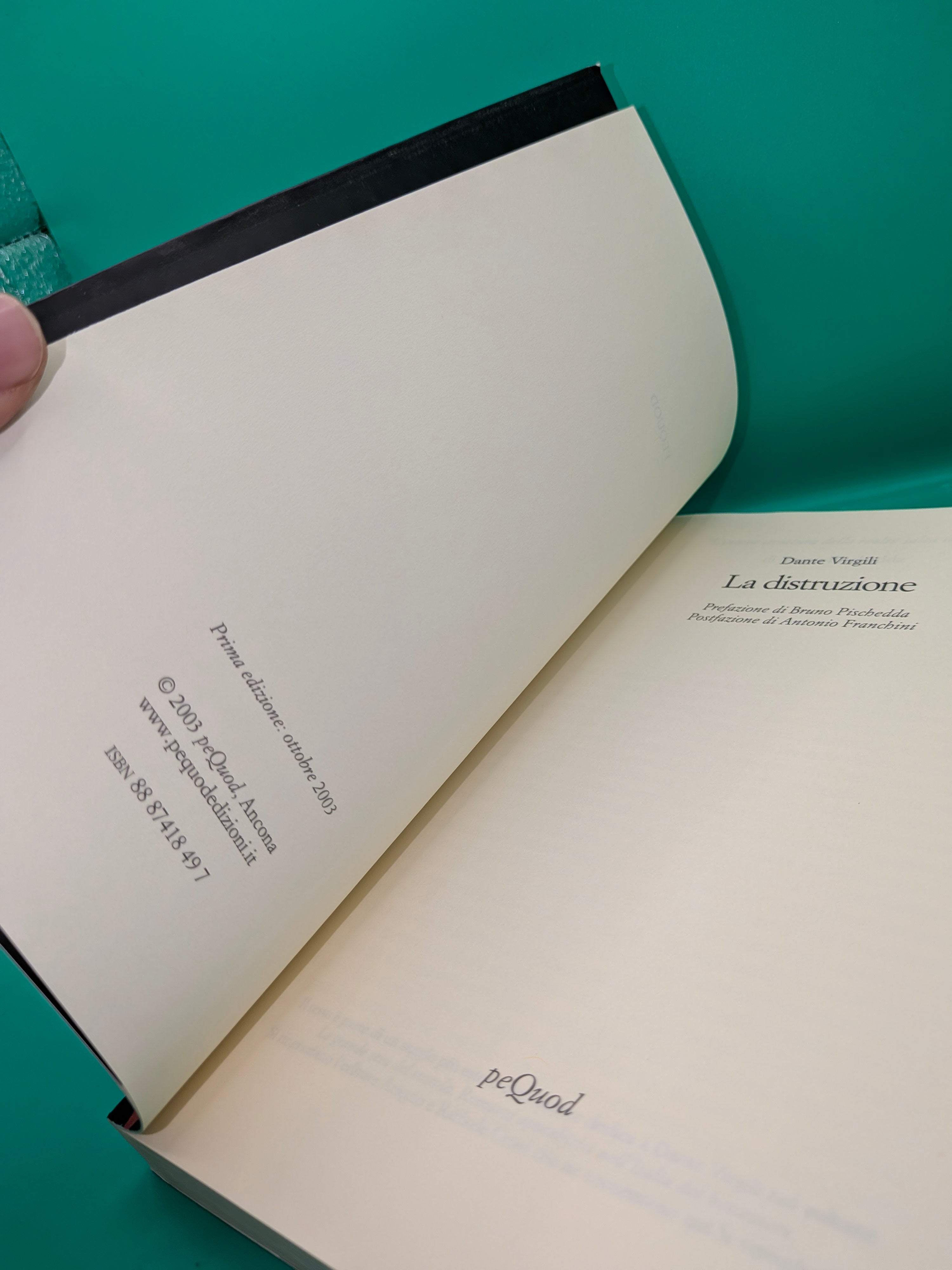 Dante Virgili - La Distruzione