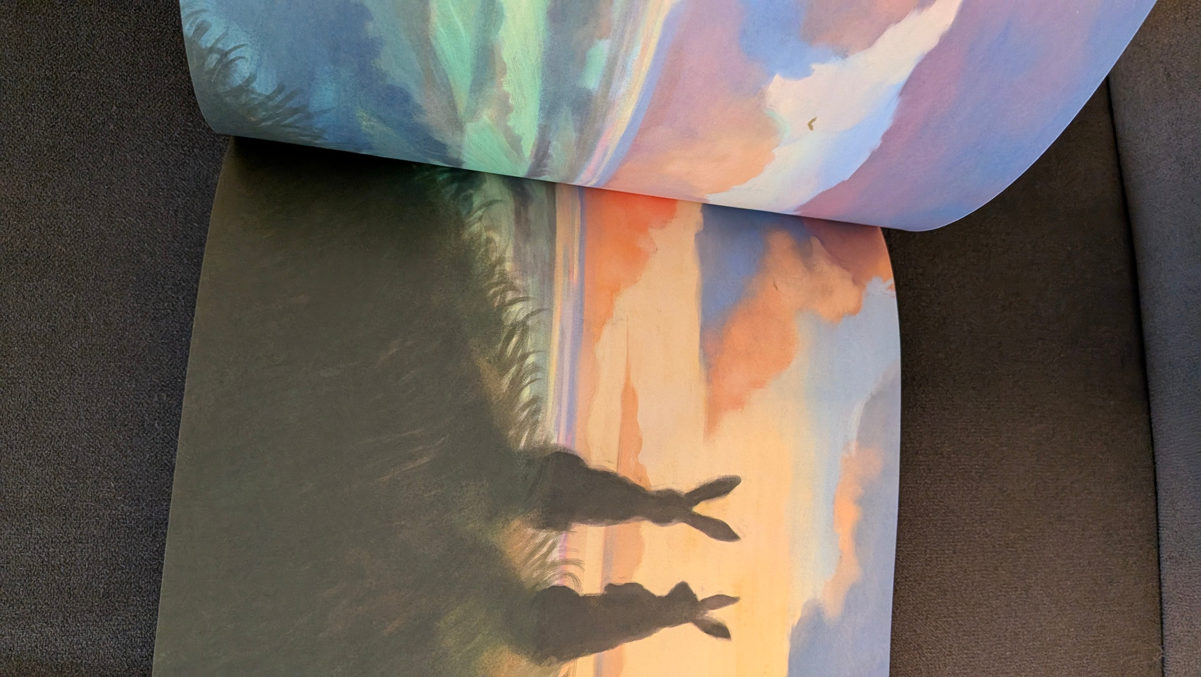 Richard Adams - La collina dei conigli - Edizione Illustrata Rizzoli 2008