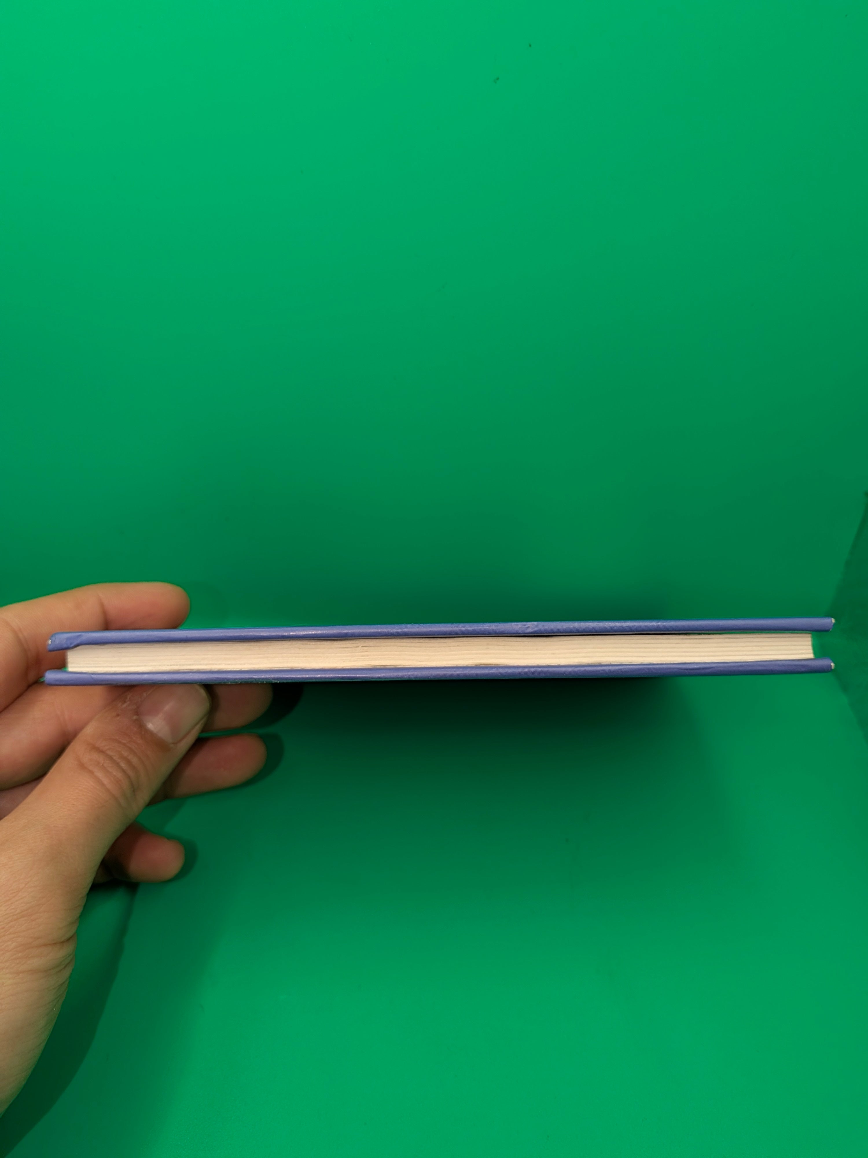 JRR Tolkien - Canzoni e Poesie da Il Signore degli Anelli Rusconi