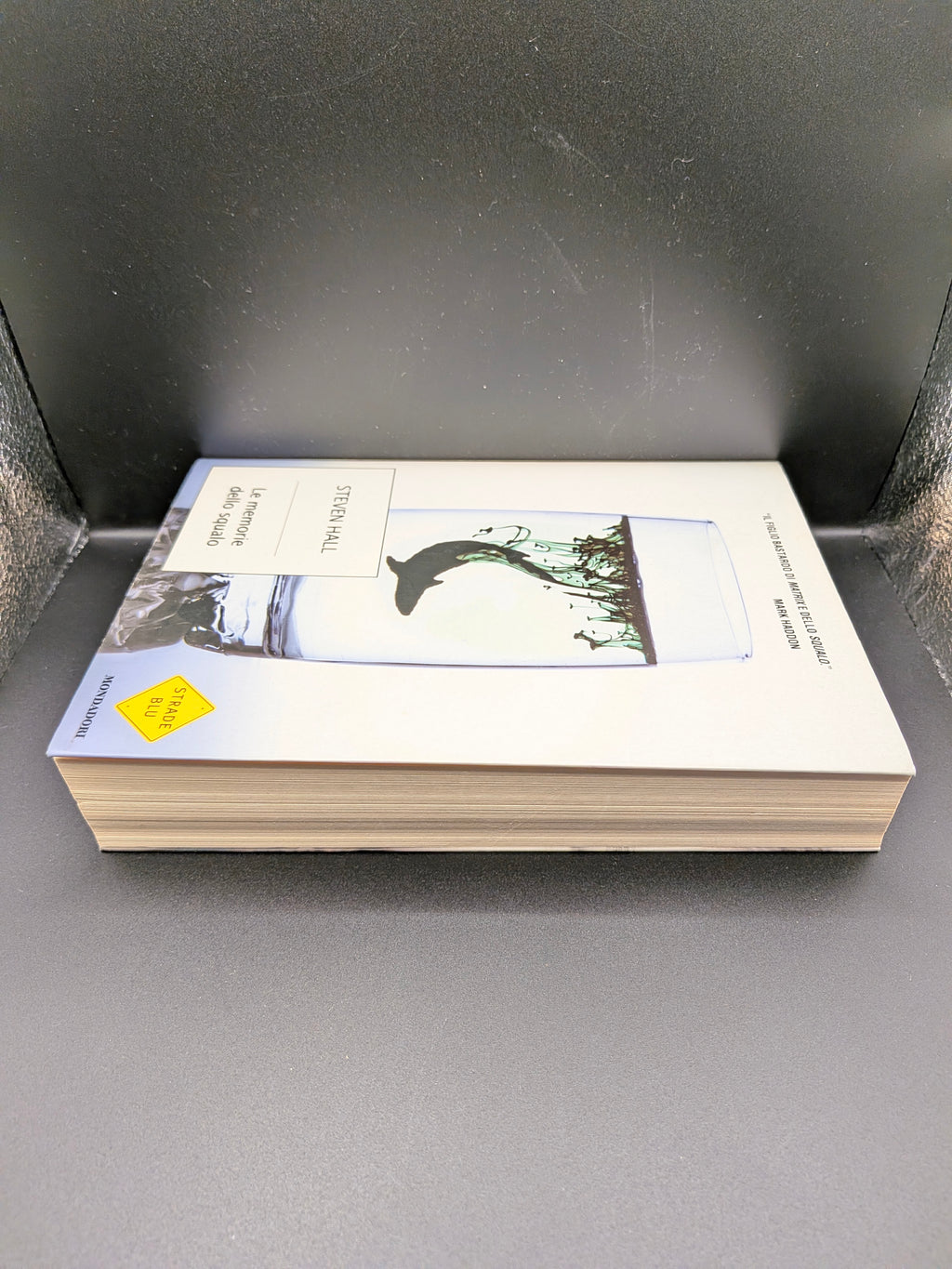 Steven Hall - Le Memorie dello Squalo Mondadori Strade Blu